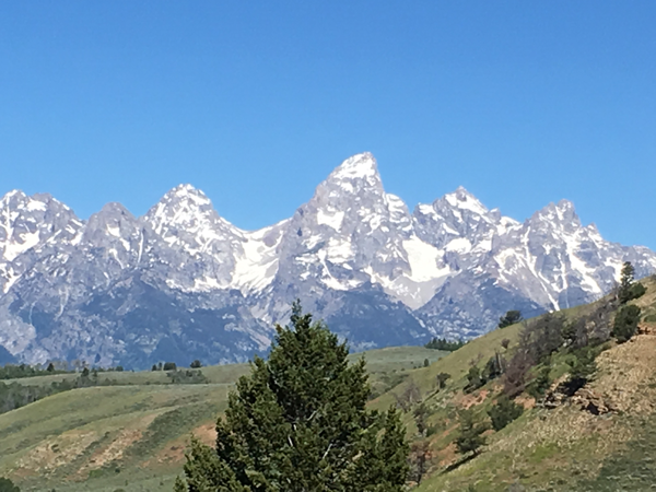 Park Concessions Comments Sought