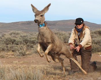 Photo: Lucy Wold wgfd