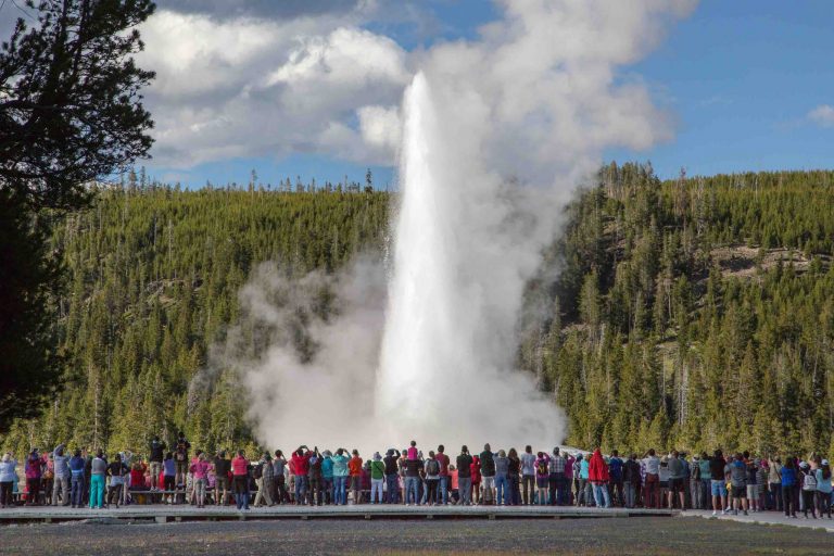 Yellowstone Geyser