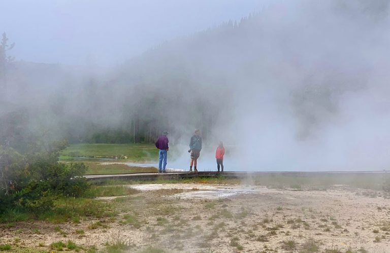 Yellowstone Visitor Numbers Up