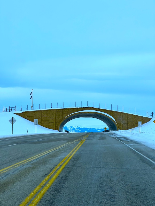 Wildlife Overpass